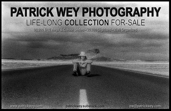 FylerCollectionPW