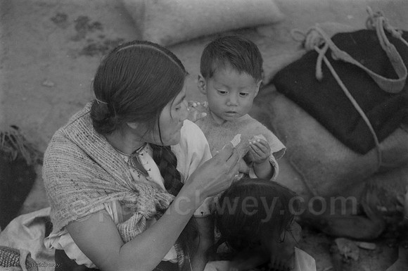 DSC_0226.tif