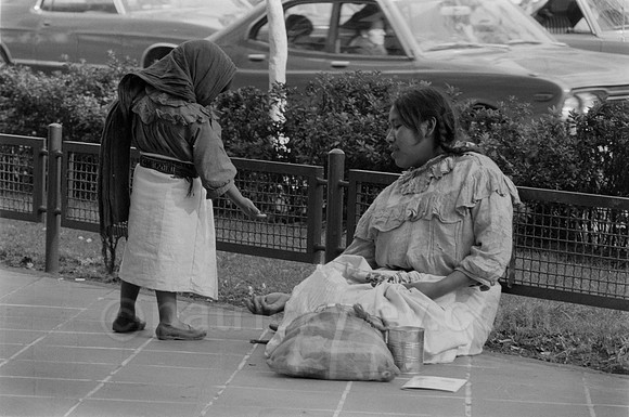 DSC_0066 (1).tif