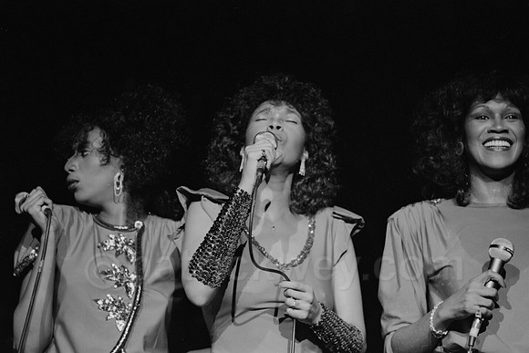 rock&rollphotograhy bluesphotos celebritiesphotos rockstarphotography