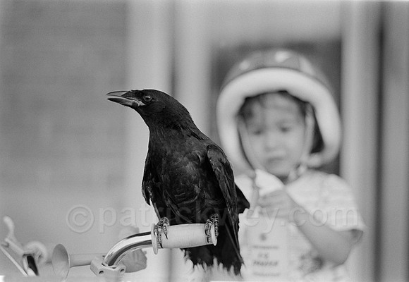 DSC_9808.tif