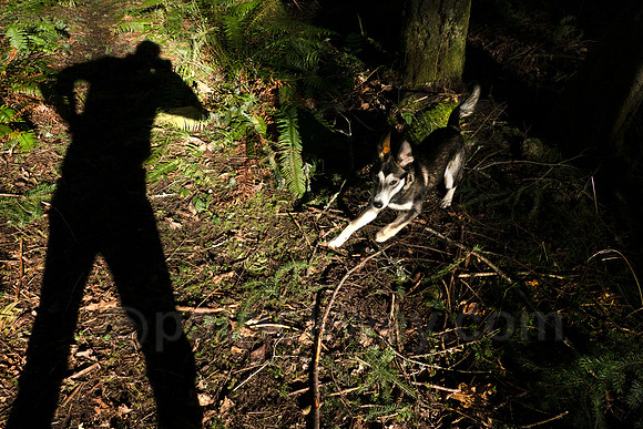 P1110248-Edit.jpg