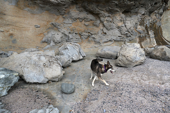 P1110345-Edit.jpg