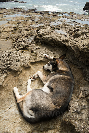 P1110429-Edit.jpg