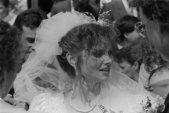DSC_0162.tif