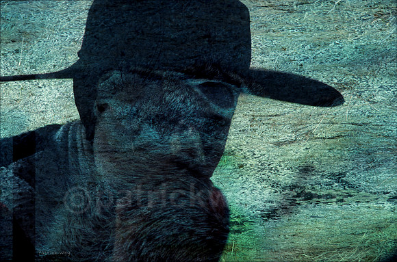 00067.tif
