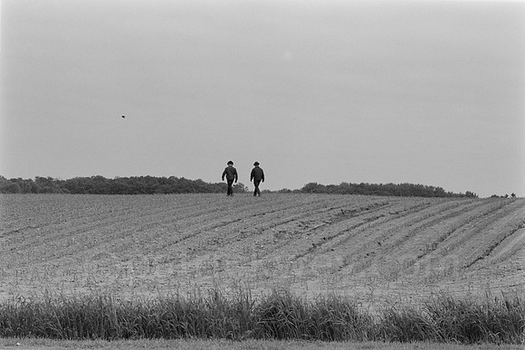 DSC_0037.jpg