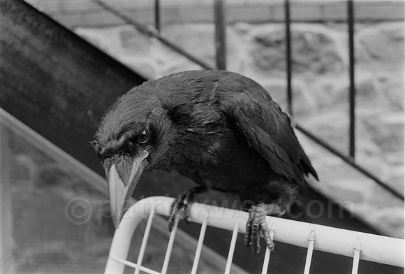 DSC_0320.jpg
