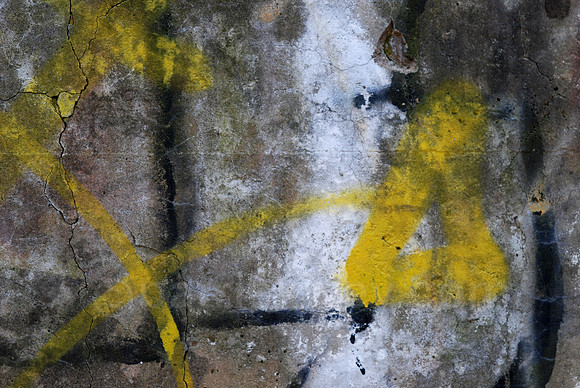 yellowtri.jpg