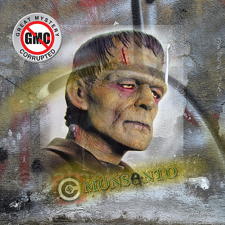 GMO1.jpg