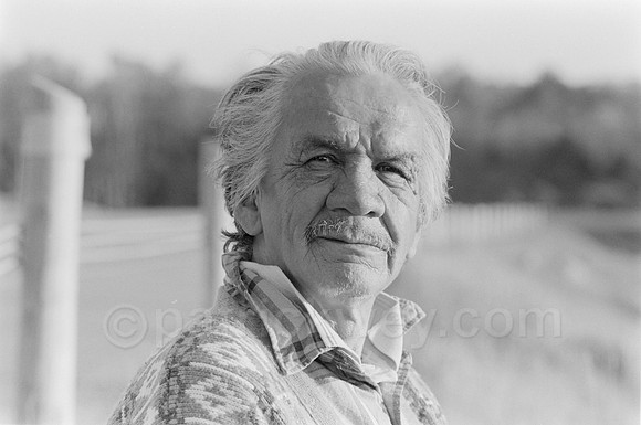 patrick wey photographics