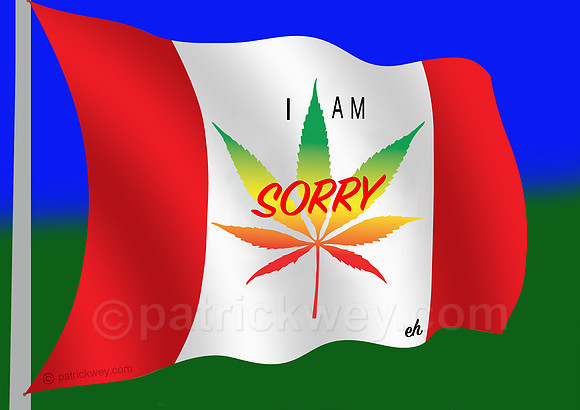 SorryMariFlagFlat.jpg