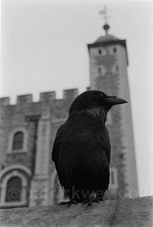 DSC_0041.jpg