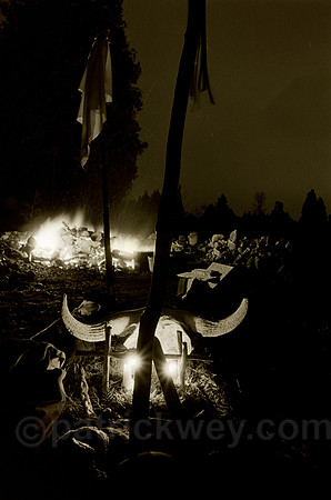patrick wey photographics