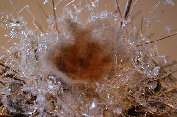 DSCF0024-2.jpg