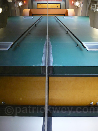 P1010524.jpg