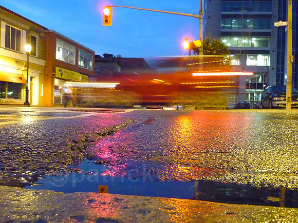 P1010287.jpg