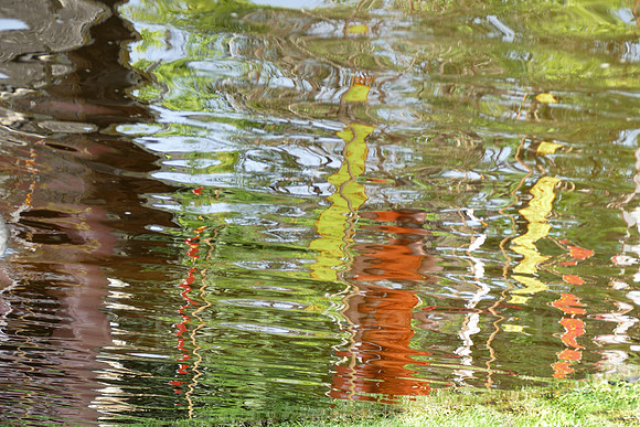 P1010313.jpg