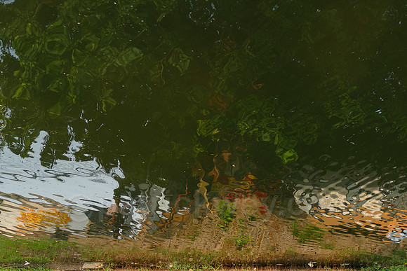 P1020444.jpg