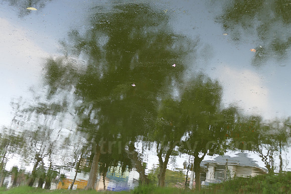 P1010377.jpg