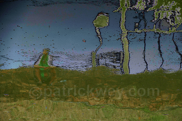 P1010370a.jpg