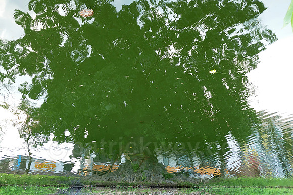 P1010365.jpg