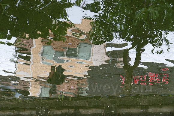 P1020192.jpg