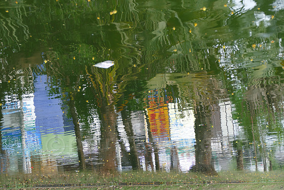P1010415.jpg