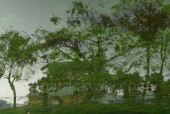 P1020501.jpg