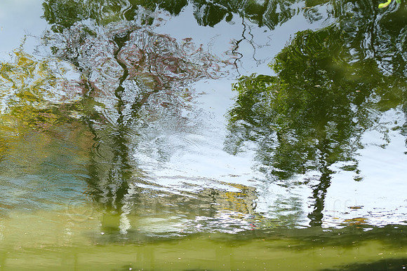 P1010280.jpg