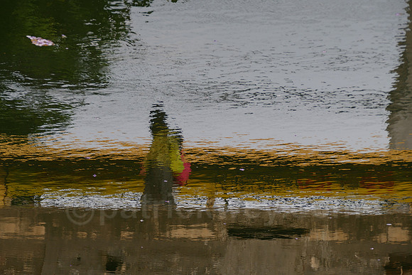 P1020127.jpg