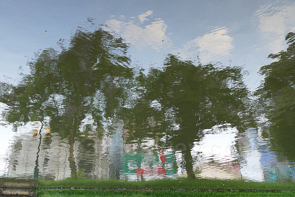 P1010400.jpg