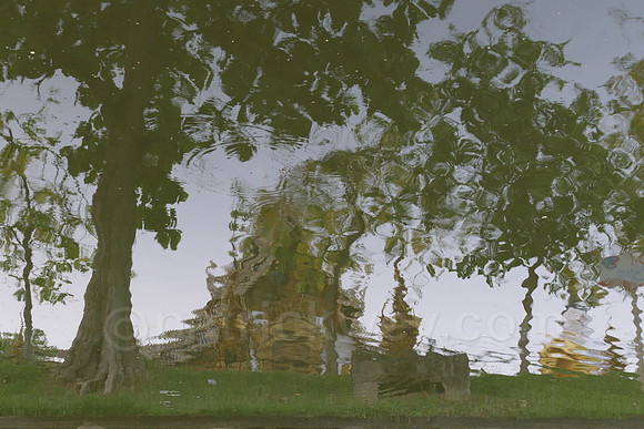 P1020333.jpg