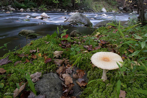 106d_DSF6325.jpg