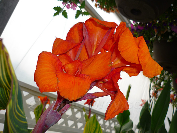 P1030148.jpg
