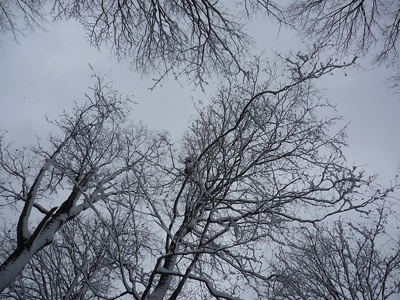 P1020152.jpg