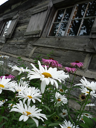 P1030748.jpg