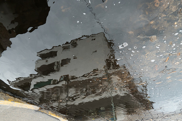 P1050373-Edit.jpg