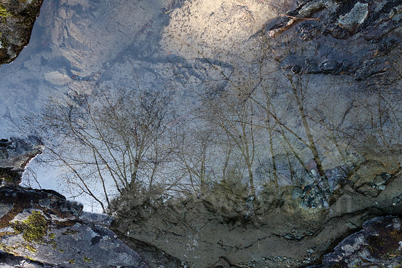 P1050947a.jpg