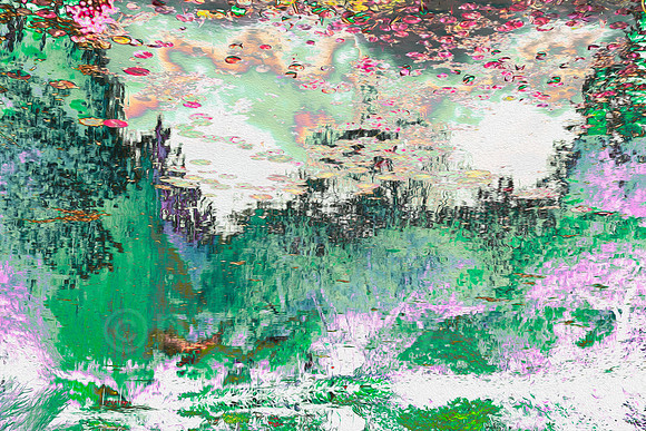 _DSF8437A.jpg