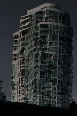P1050774.jpg