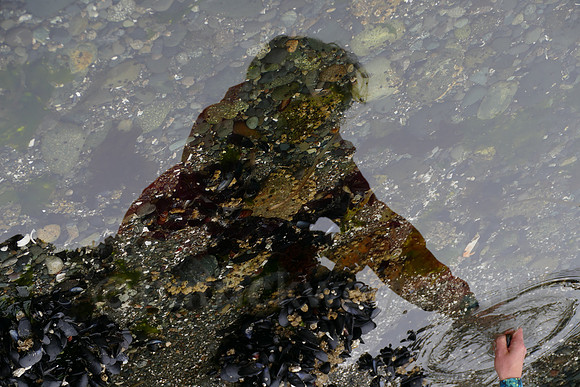 P1030634.jpg