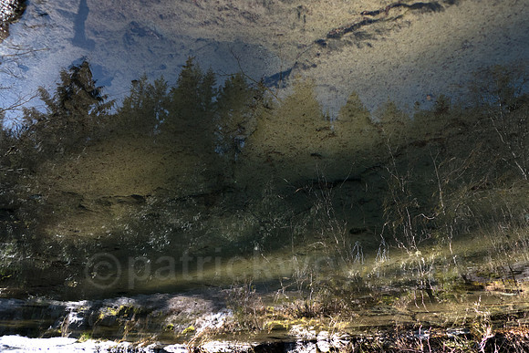 P1050892-Edit.jpg