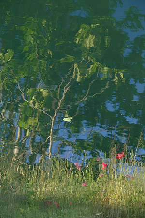 P1030432.jpg