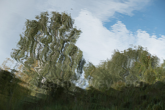 P1090378.jpg