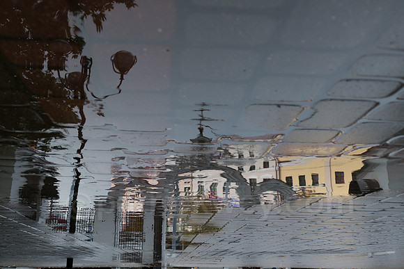 P1090442.jpg