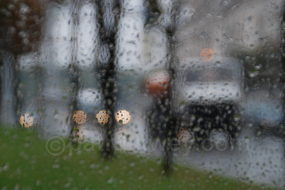 DSC_0596.jpg