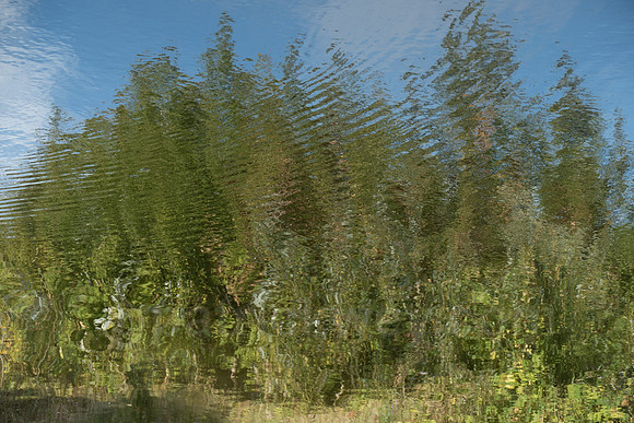 P1090383.jpg