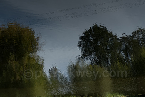 P1090373.jpg