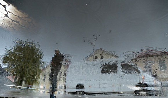 P1090051.jpg